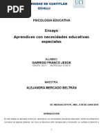 Ensayo de Aprendices Con Necesidades Educativas Especiales