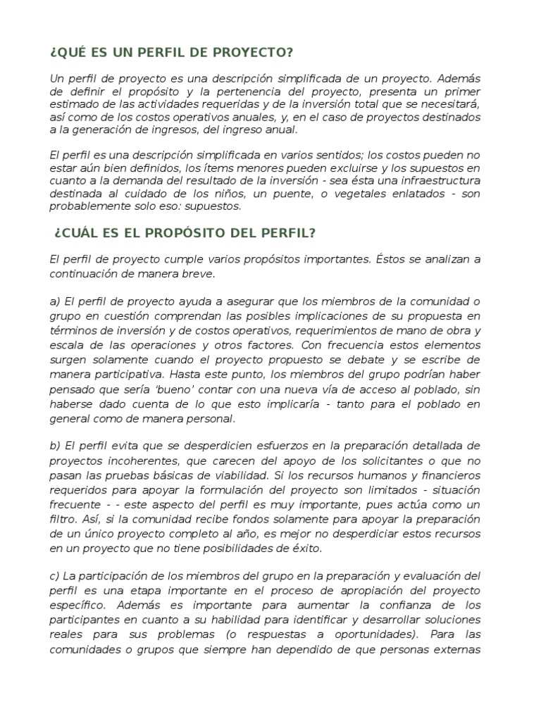 Definición y Propósito del Perfil de Proyecto | PDF | Recursos humanos ...