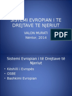 4 Sistemi Evropian I Të Drejtave Të Njeriut