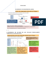 FISIOLOGIA Grado Enfermeria