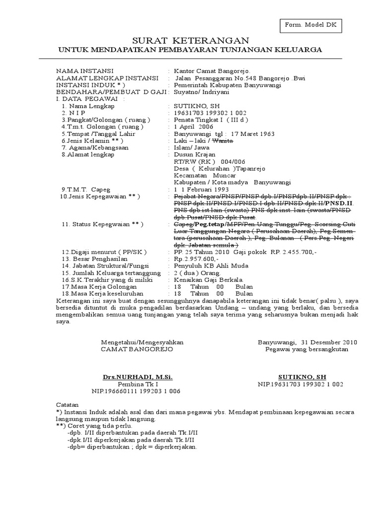 Model DK | PDF