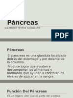 pancreas