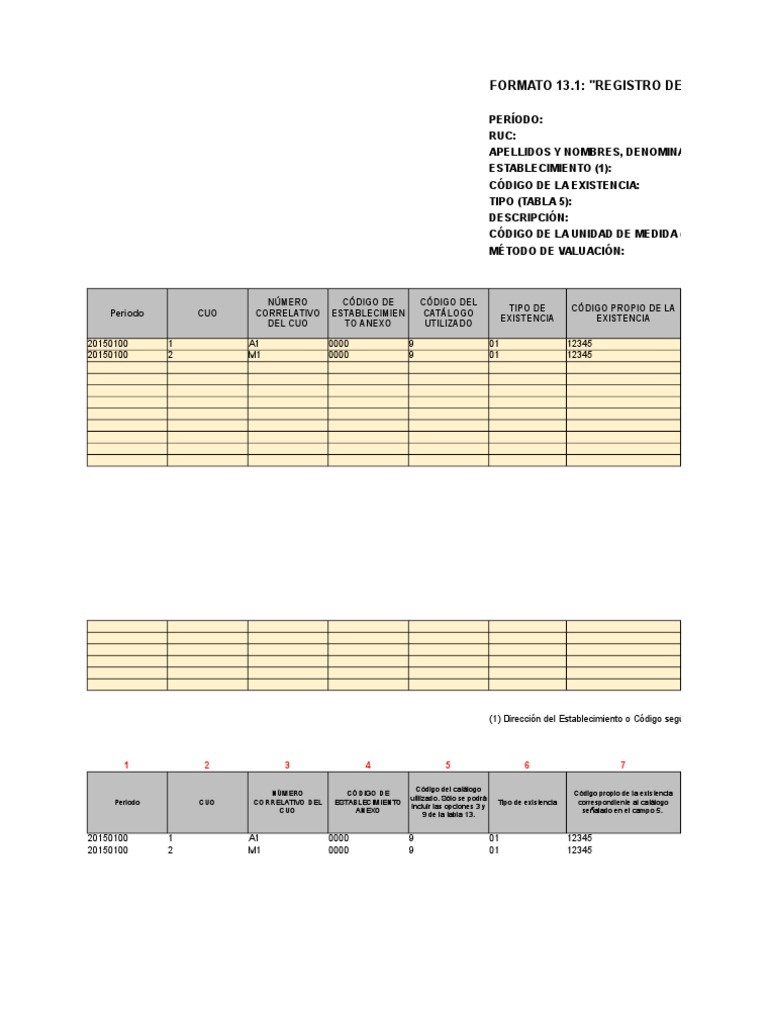 Registro Inventario Valorizado | Entero | Decimal