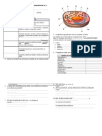 Evaluacion-Primera Unidad