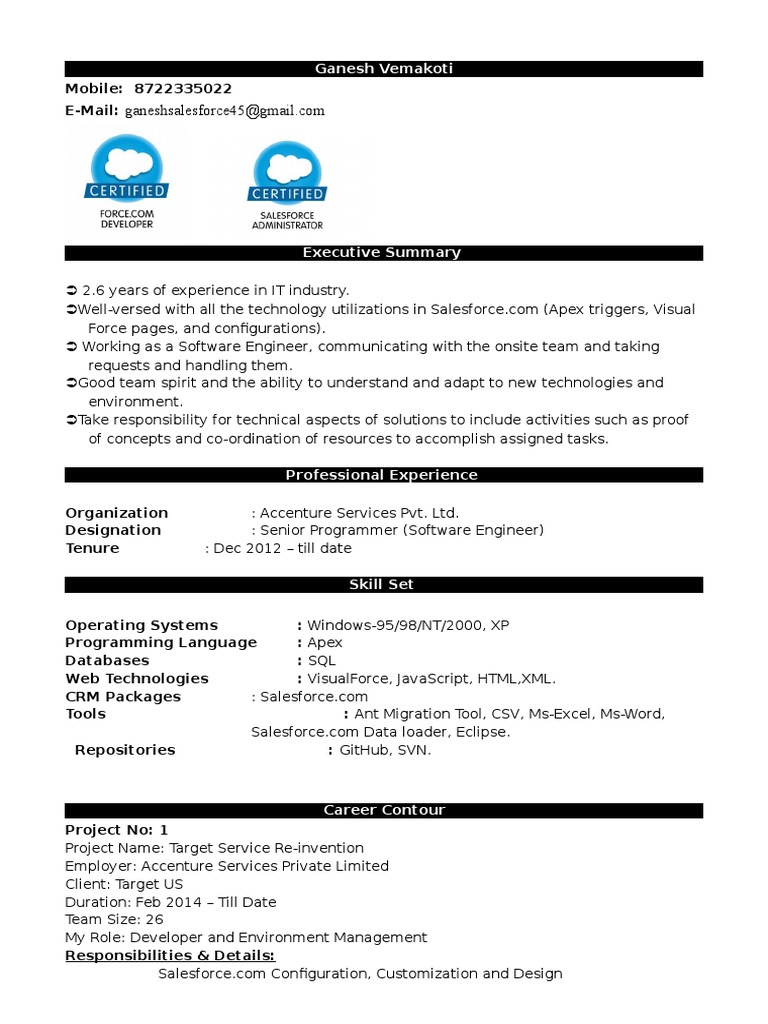 salesforce resume Areas Of Computer Science