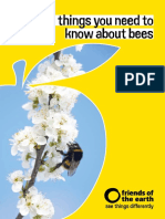 20 Things You Need Know About Bees Booklet