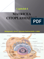 Matricea Citoplasmatica