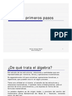 Algebra Primeros Pasos