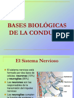 Bases Biológicas de la Conducta