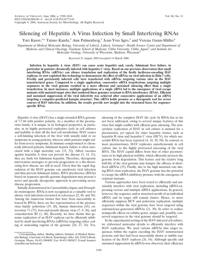 RNAi Hepatitis Treatment | PDF | Rna Interference | Small Interfering Rna