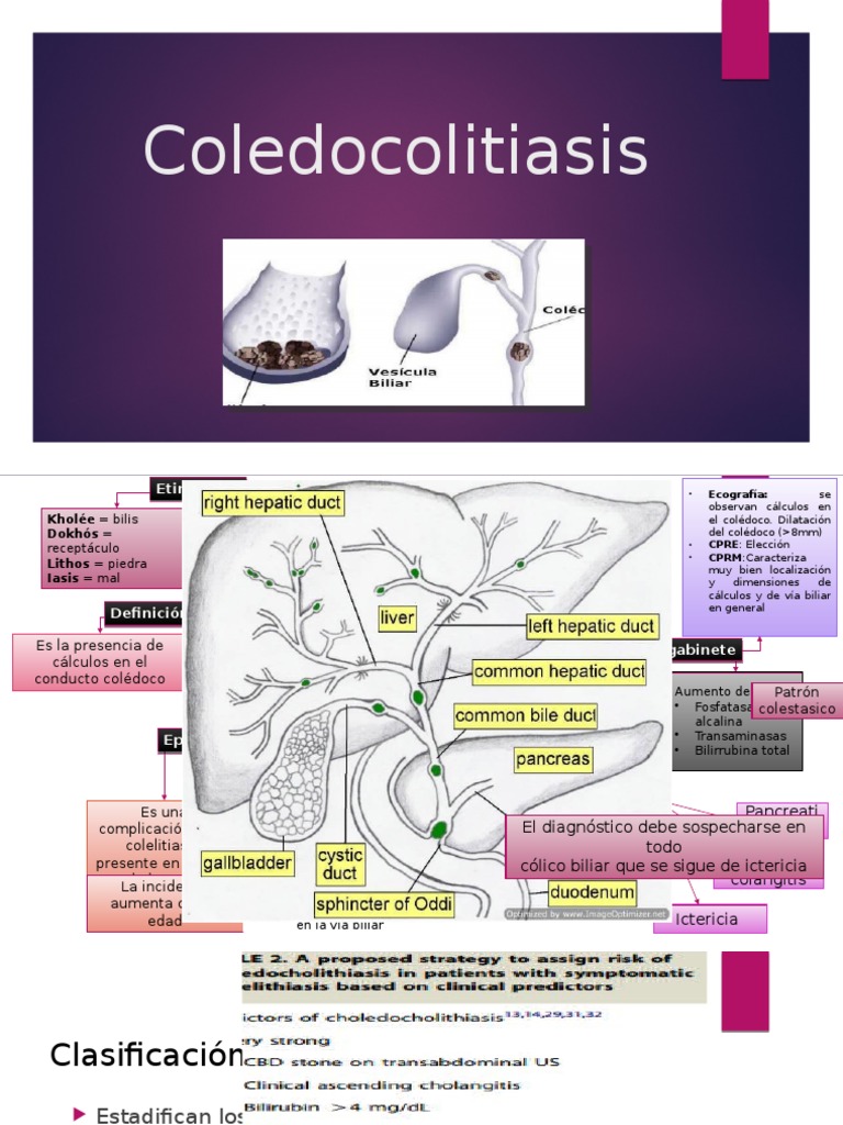 Coledocolitiasis: Diagnóstico y Manejo | PDF | Cocina, comidas y vino ...