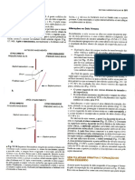 Embriologia - Capítulos 15 Ao 21