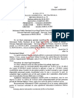 Decizie Liberare Conditionata Victor Babiuc PDF