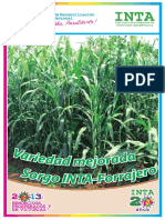 Brochure Sorgo INTA-Forrajero 2013