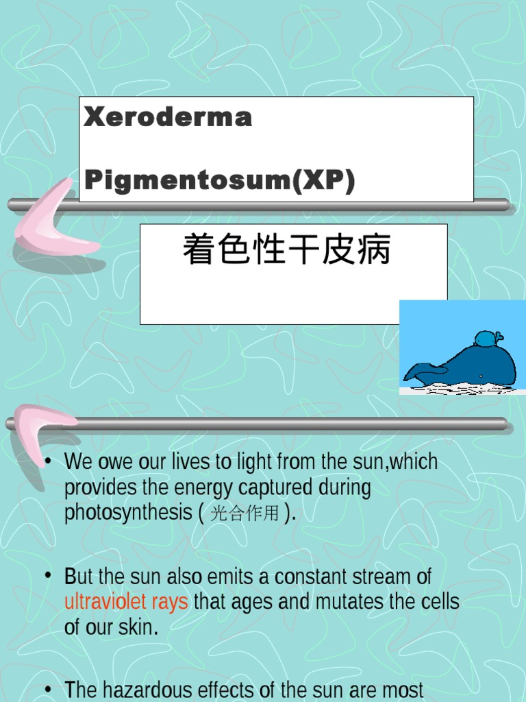Xeroderma Pigmentosam | PDF | Self-Improvement | Wellness