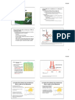 4.Traducción%20y%20Codigo%20Genético[1].pdf