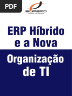 ERP Híbrido e a Nova Organização Da TI
