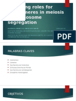 Emerging Roles For Centromeres in Meiosis I Chromosome Power