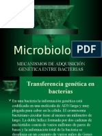 Microbiologia Presentación Power Point