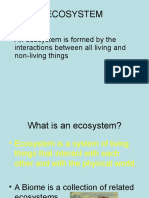Ecosystem Final