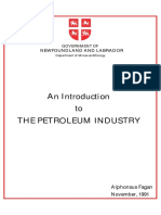 Introduction Energy and petroleum gas sector