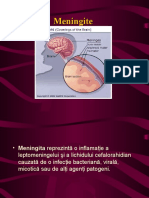 283725133-meningita