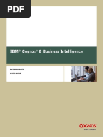 IBM Cognos - Business Inteligence 