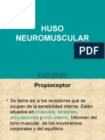 Huso Neuromuscular