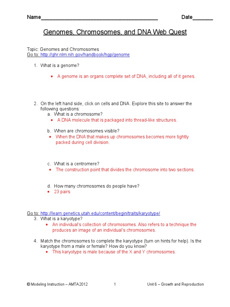 03 Genome Chromosome And Dna Webquest 2 Chromosome Genome