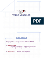 Clase-Tejido Muscular