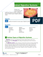 types of animal digestive systems