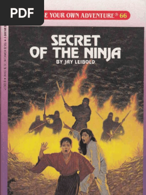 Secret of the Ninja-Choose Your Own Adventure 66
