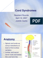 2007 04 12-Sacks-Spinal Cord Syndromes