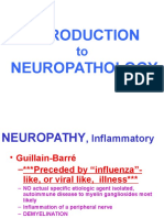 introduction to neuropathology
