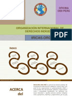 Informe Institucional Anual OIDI Perú - IRICAS - ORG 2015