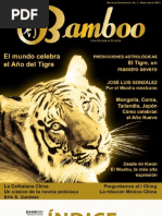 Download Revista Bamboo Numero1 by Orquidea_Fong SN31011105 doc pdf