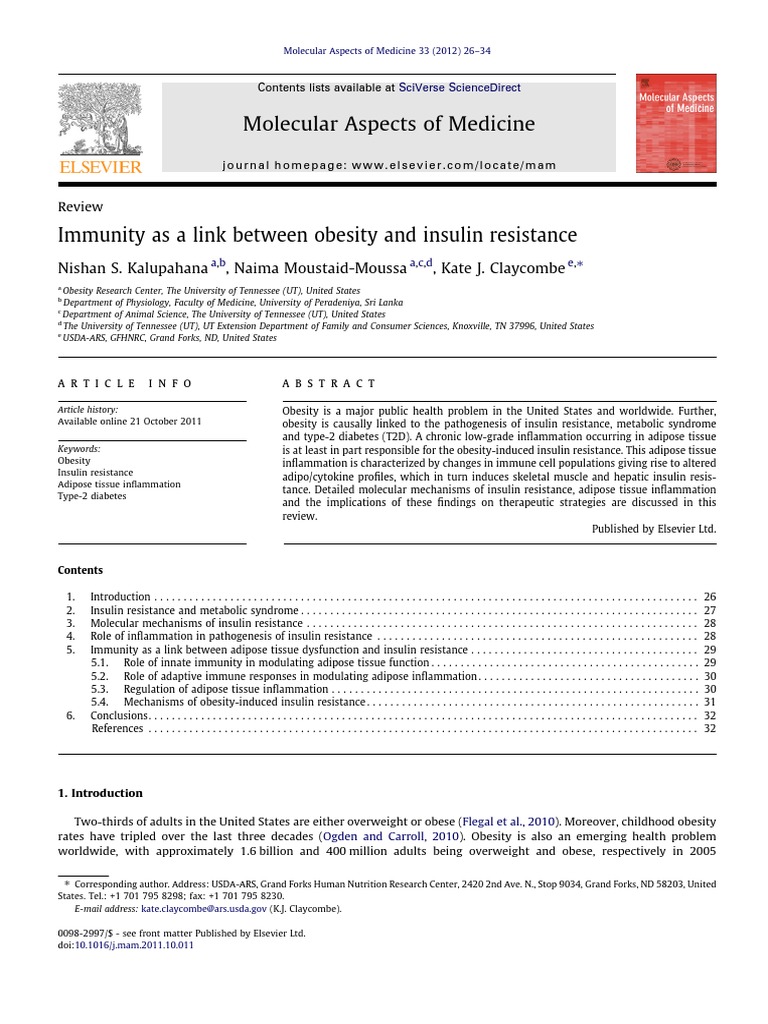 Immunity and Obesity and Insulin Resistance | PDF | Protein Kinase B ...