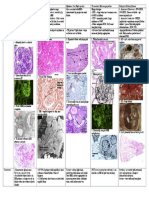 Pathophys - Renal - Systemic_hereditary_vascular