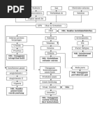 CKD Patofisiologi