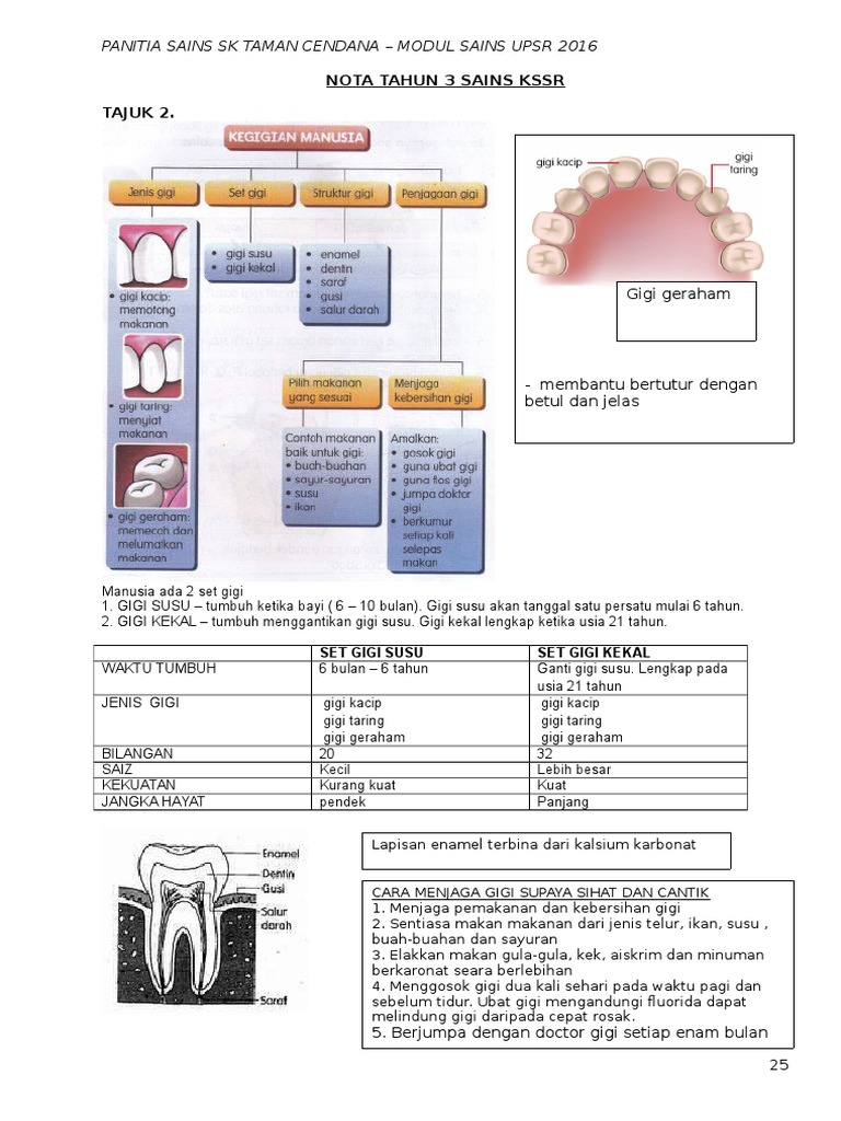 Nota Tahun 3 Sains Kssr