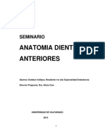 Endo Anatomia dientes anteriores