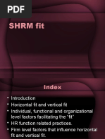 Lecture 11 SHRM Fit