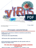 Virus 7ª Ano