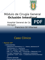Caso Clinico Oclusión Intestinal y Revisión Del Tema
