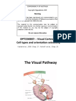Lect_10_Visual Cortex_1-2013.pdf
