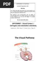 Lect_10_Visual Cortex_1-2013.pdf