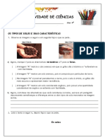 Os Tipos de Solos e Suas Características