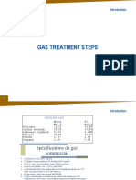 00 Gas Treatment forENI 2016 PDF