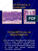 Tecido Epitelial e Glandular 2013.2