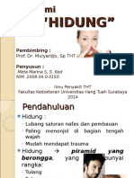 Anatomi Hidung